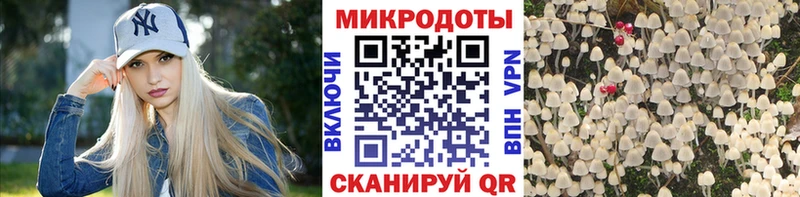 блэк спрут ONION Кострома Галлюциногенные грибы Magic Shrooms закладка